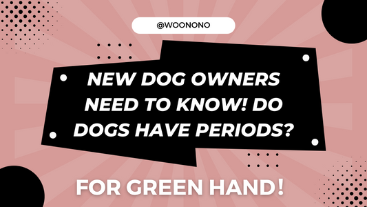 New Dog Owners Need to Know! Do Dogs Have Periods?