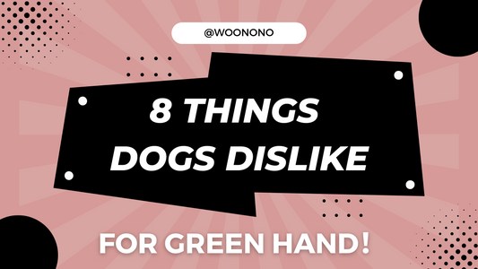 8 Things Dogs Dislike