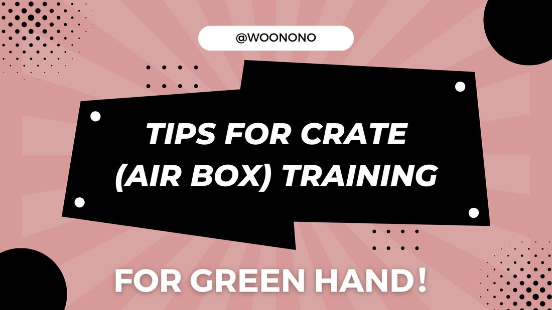 Tips for Crate(Air Box) Training