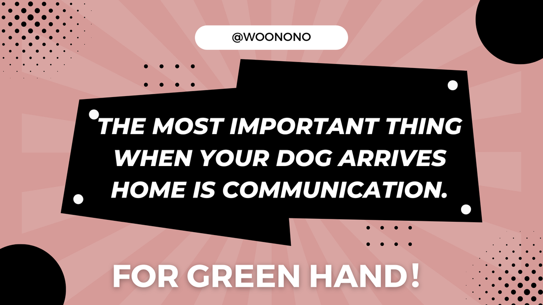 The most important thing when your dog arrives home is COMMUNICATION.