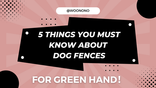 5 Things You Must Know About Dog Fences