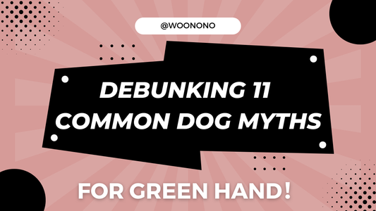 Debunking 11 Common Dog Myths