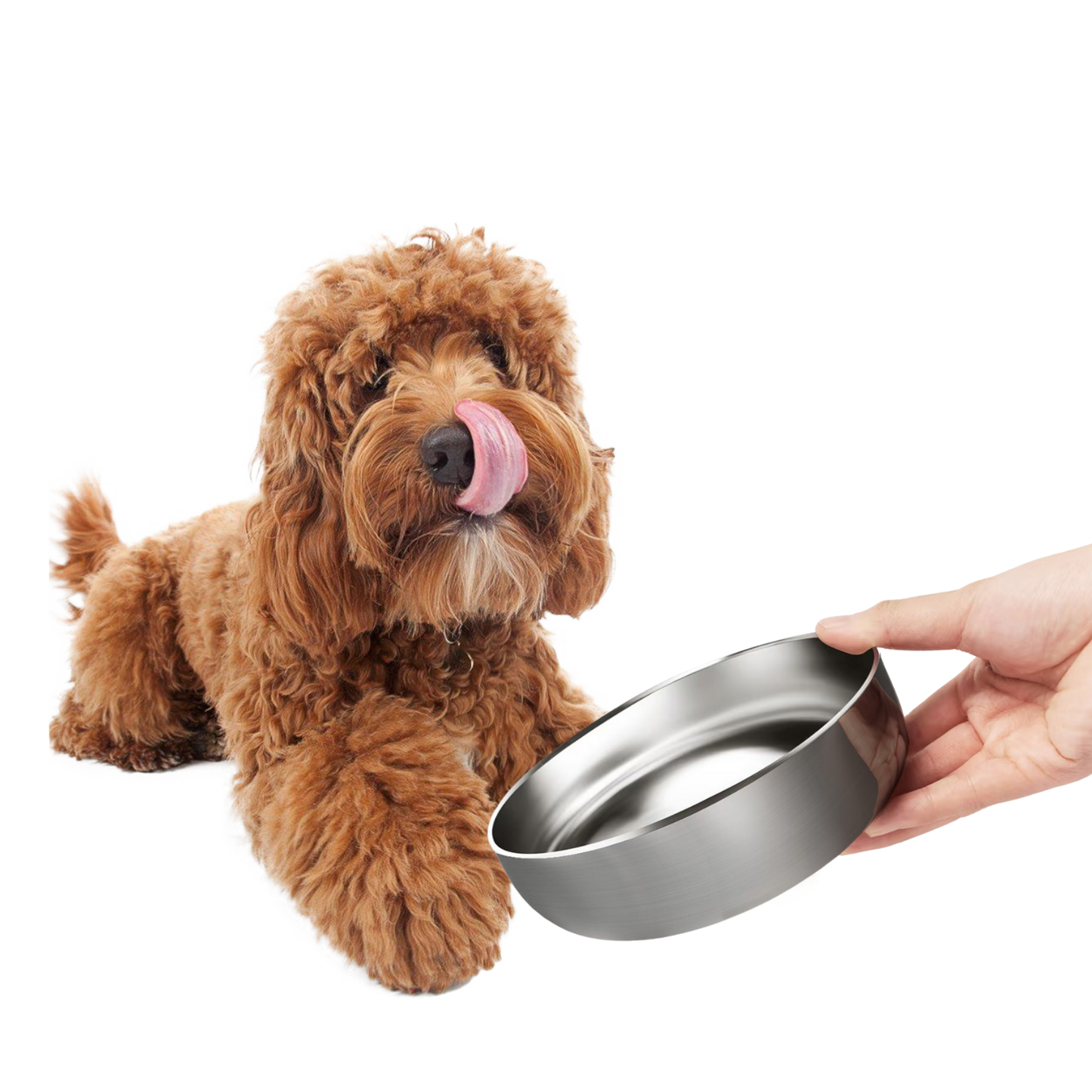 Stainless Steel Double Wall Insulated Dog Bowl ,18OZ/32OZ/42OZ,Stainless steel original color