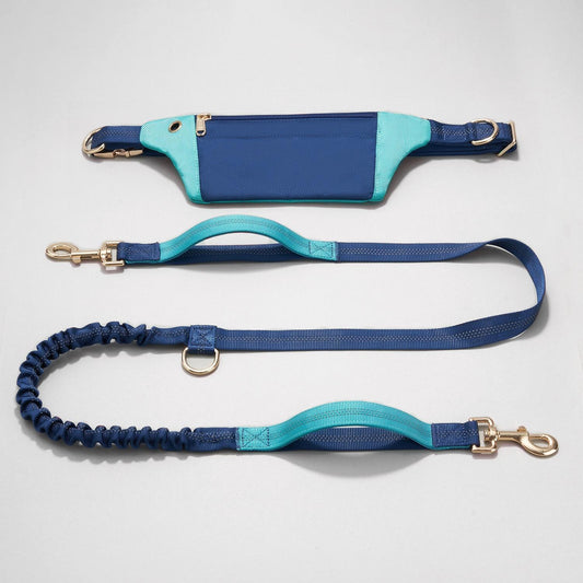 FreeJoy | Hands Free Dog Leash and BeltBag | Eggshell Blue and Deep Space Blue