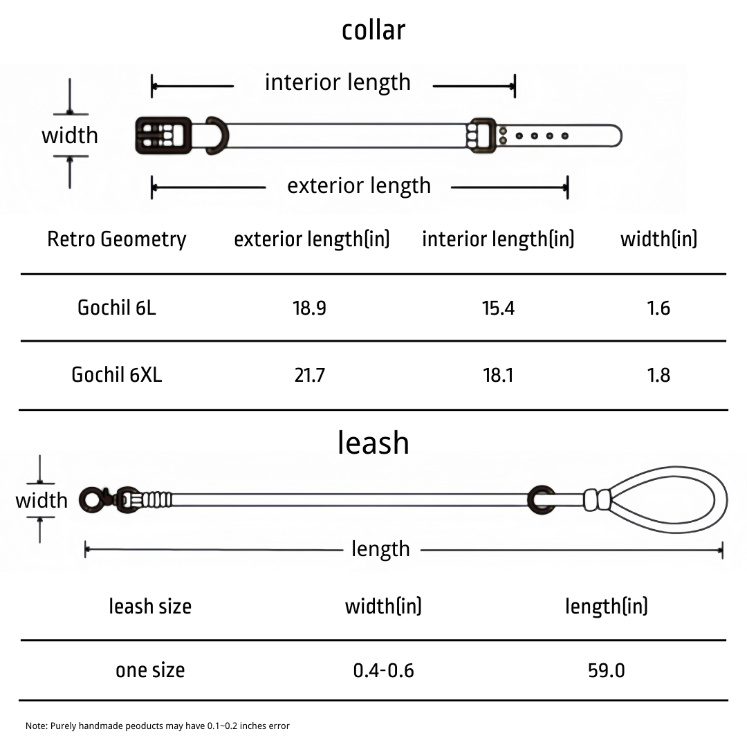 Gochill 6 | Dog Collar and Leash | 15.4-18.9” | Retro Geometry